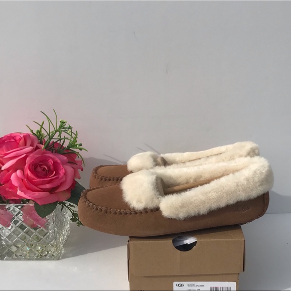 UGG Dakota Spill Seam - Picture 3 of 8